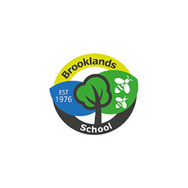brooklands school logo